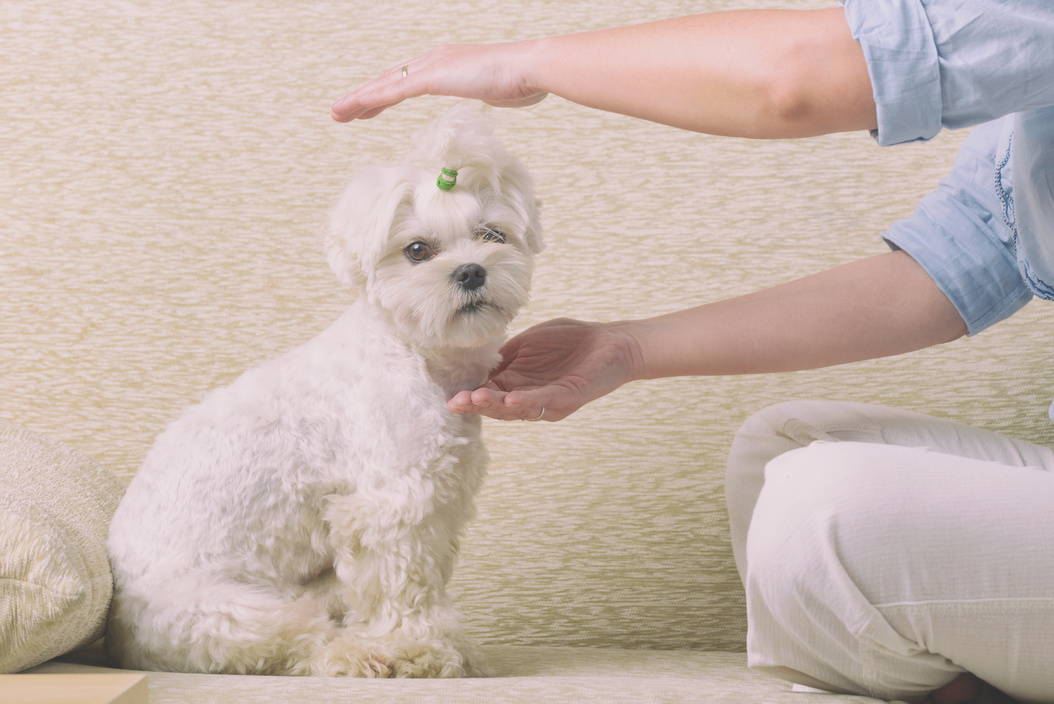 Woman practicing reiki therapy